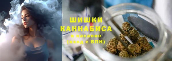 Альфа ПВП Новодвинск